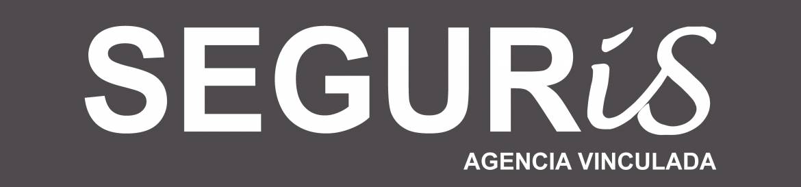 Seguris: Seguros para Pymes
